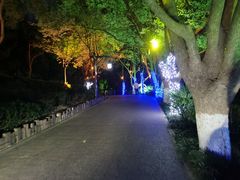 -天目湖山水园