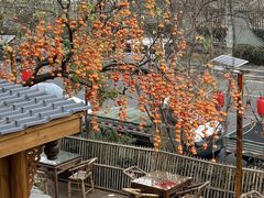 -田园印象·成都土菜院子(华阳店)