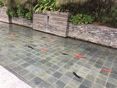-稻香酒家(天河城店)