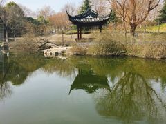 -泰州凤城河风景区-泰山公园