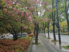 -汉江湾体育公园