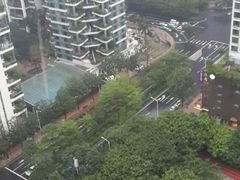 -1点点(岗顶店)