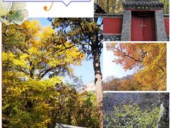 -北京上方山国家森林公园