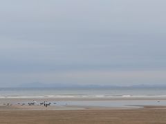 -南澳海滩