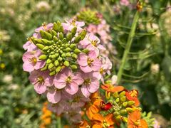 -中国天府农业博览园