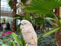 -南宫五洲植物乐园