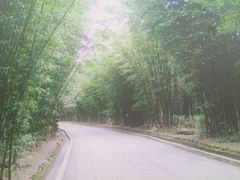 -蝴蝶泉公园