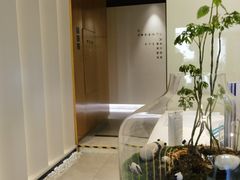 -齐玉齿科JADENTAL