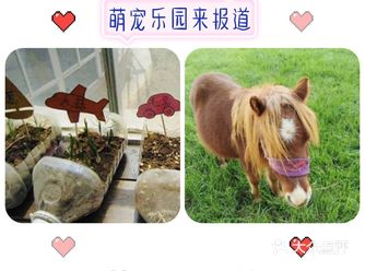 一直以为是个乐园，更确切的说应该是个亲子农场乐园