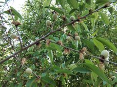 -长春公园(普阳街道)