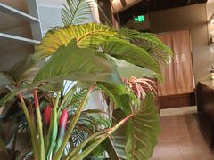 -湊湊火锅·茶憩(皇姑万象汇店)