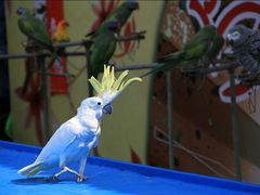 -云漫湖生态度假公园