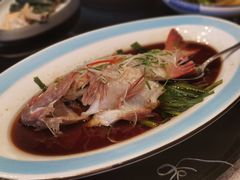 -新南华大酒店(广中店)