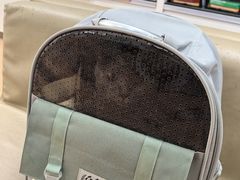 -宠颐生中康贝怡动物医院