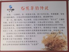 -周先生石花膏