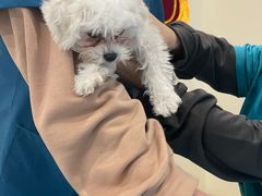 -美迦爱-牙专科·兔科·骨科诊疗中心(北苑店)