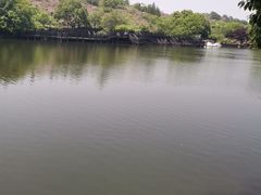 -白马涧龙池景区