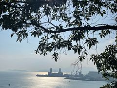 -南丫岛