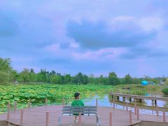 -桤木河湿地公园