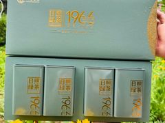 -日照海滨国家森林公园