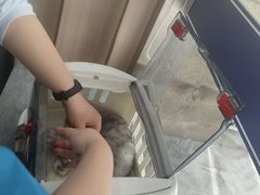 -申普宠物医院·眼科·心内科·影像科(普陀分院)