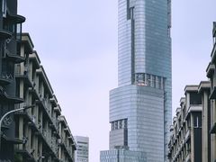 -紫峰大厦
