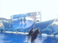 -上海海昌海洋公园