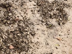 -东寨港红树林旅游区