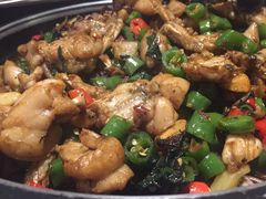 青椒紫苏锅-蛙小侠(珠海华发商都店)