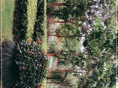-南翔镇银翔湖公园