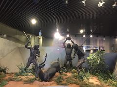 -北京周口店北京人遗址博物馆