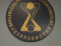 -温鉴良实用咏春拳