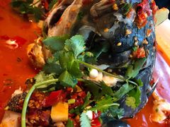 -坛宗剁椒鱼头(河西王府井店)