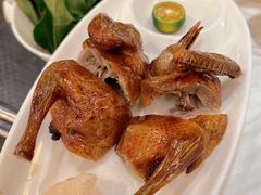 妙龄脆皮乳鸽之天外飞仙-活潑鲜跳(湖滨商业街店)