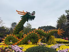 -南山植物园