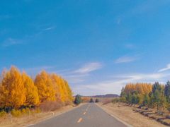 -塞罕坝国家级自然保护区