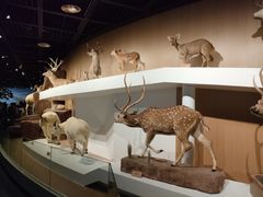 -陕西自然博物馆