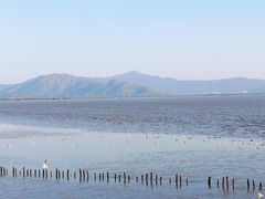 -深圳湾公园(南山区)