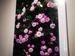 -花迹(富春江东街店)