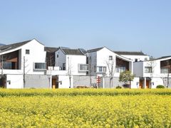 -东梓关景区村庄