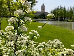 -浙江大学(海宁国际校区)