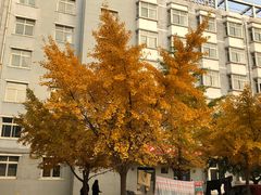 -东北大学(南湖校区)