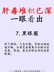 点击看大图 -玛莲朵·海菲秀冰珀科