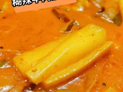 糊辣羊肉煮萝卜-菌海森林·非遗野生菌火锅(西山区滇池路摩根道店)