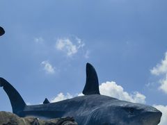-海合安武汉极地海洋公园