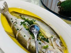 -阳光雷迪森广场酒店(中山东路店)