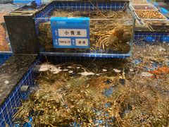 -东海怡品海鲜豆捞(舟宿夜江店)
