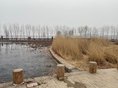 -绿堤公园