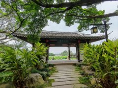 -江心屿景区