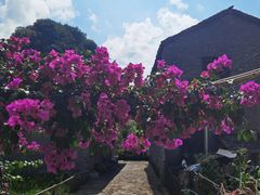 -高荡千年布依古寨旅游景区